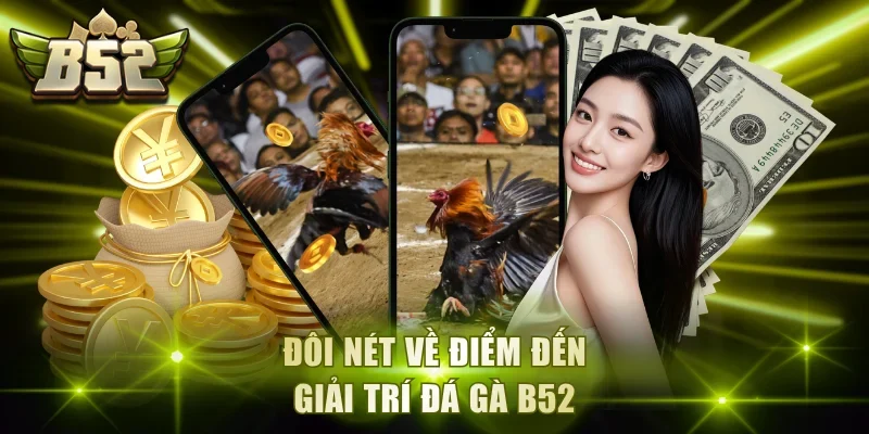 Đôi nét về điểm đến giải trí đá gà B52