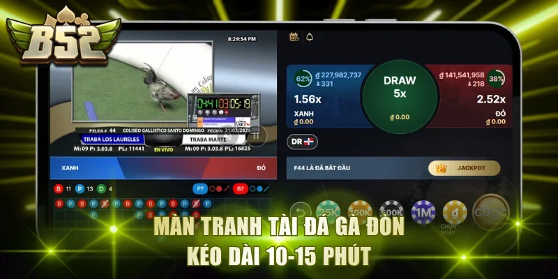 Màn tranh tài đá gà đòn kéo dài 10-15 phút